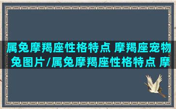 属兔摩羯座性格特点 摩羯座宠物兔图片/属兔摩羯座性格特点 摩羯座宠物兔图片-我的网站